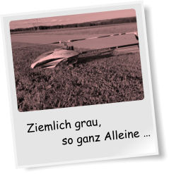 Ziemlich grau, so ganz Alleine …