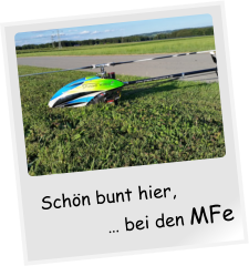 Schön bunt hier, … bei den MFe